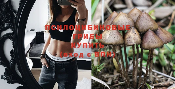 МДМА Бородино