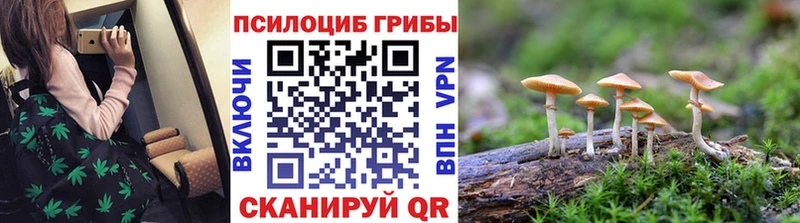 Псилоцибиновые грибы прущие грибы  Гулькевичи 