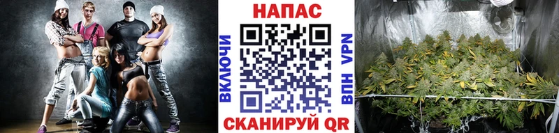 Бошки марихуана семена  как найти   кракен онион  Гулькевичи 